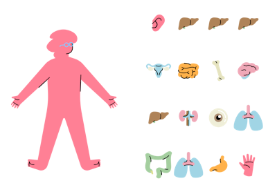 functional health A pink person with various items in the shape of a human.