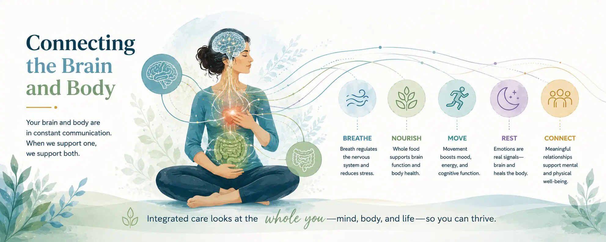 connecting the brain and body